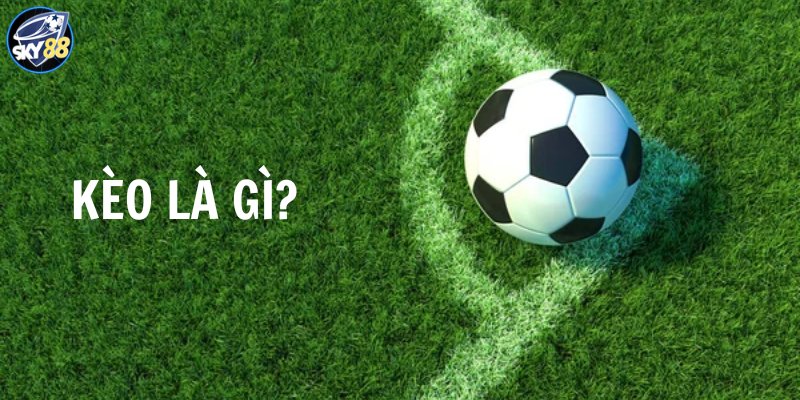 Chiến dịch quảng bá Vn123 đã chính thức được khởi động - Vn123