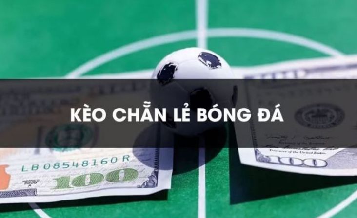 Quá trình đăng nhập vào Da Cr88 rất đơn giản - Cr88