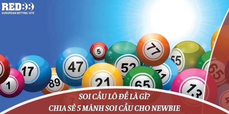 Thông tin liên hệ mới nhất của nền tảng Vaobo88 năm 2026 - Vaobo88