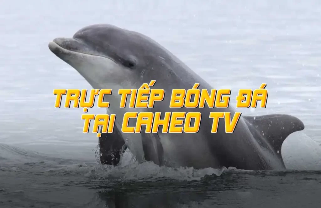 Đăng ký làm thành viên của Câu lạc bộ Fabet để nhận mã đổi thưởng trò chơi thẻ bài miễn phí - Fabet