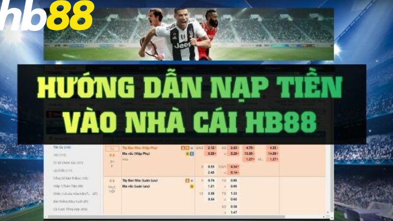 Xin giới thiệu M8win Fun, một trang web đá gà trực tuyến - M8win