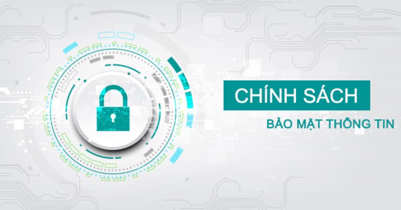 Bên cạnh 85Win, hãy cùng xem xét một số lựa chọn cá cược hấp dẫn khác - 85Win