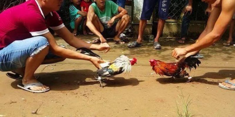 Về liên kết đăng nhập Debet - Debet