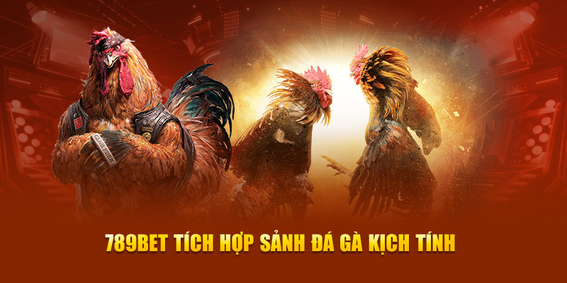 Điều kiện để nhận phần thưởng khuyến mãi Melbet 169k và những điều quan trọng cần nhớ - Melbet