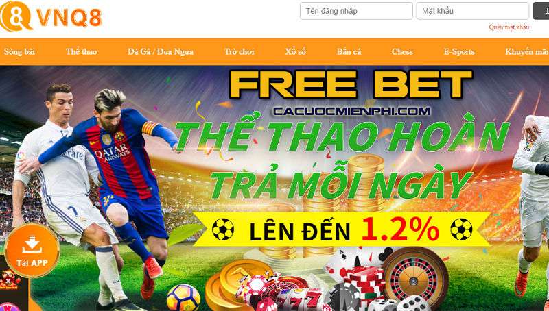 Tổng quan chi tiết nhất của Win23 - Win23