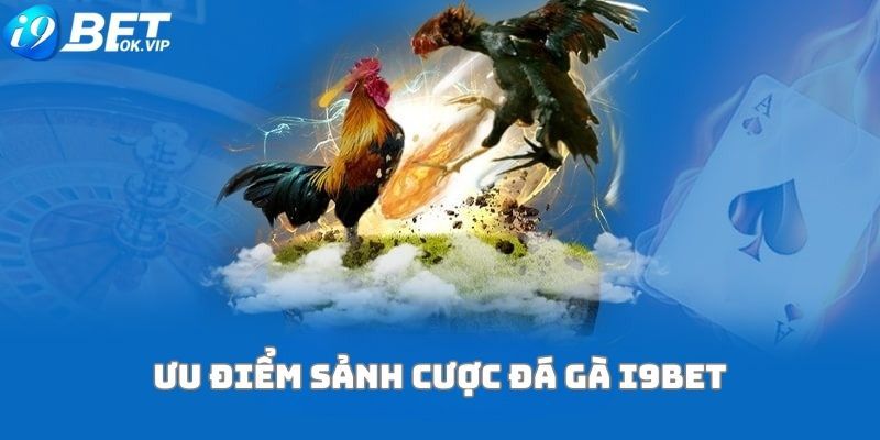 Các hoạt động quảng bá của Yue88 là một cách hiệu quả để tăng nguồn vốn cá cược - Yue88