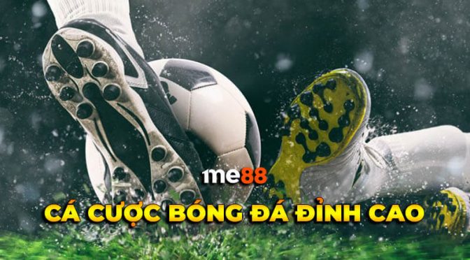 Bạn biết gì về các sự kiện thể thao tại Đại hội Thể thao 85Bet? - 85Bet