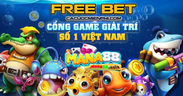 V7bet là một loại trò chơi bài mới, nơi bạn có thể thắng tiền thật - V7bet