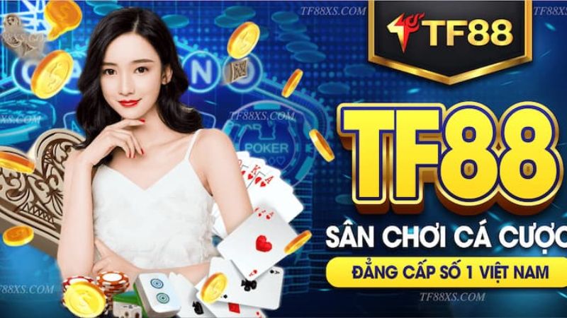 Dịch vụ Kimsa thời gian thực Kimsa - Kimsa