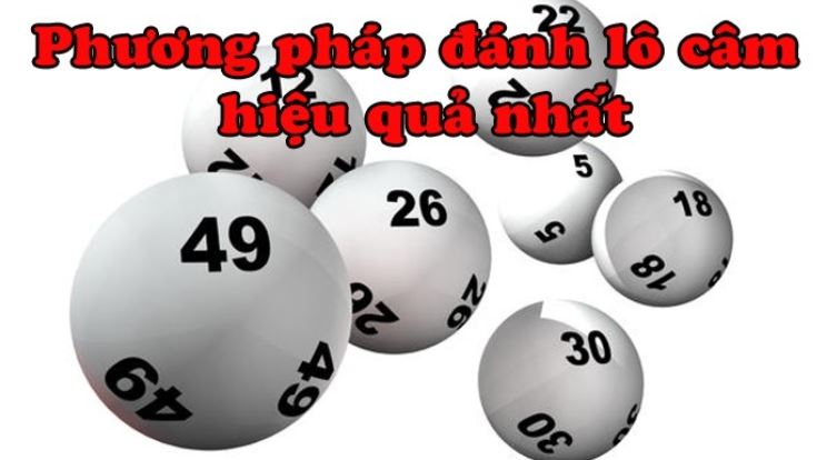 Hướng dẫn nhanh đăng ký trực tuyến Zalv - Zalv