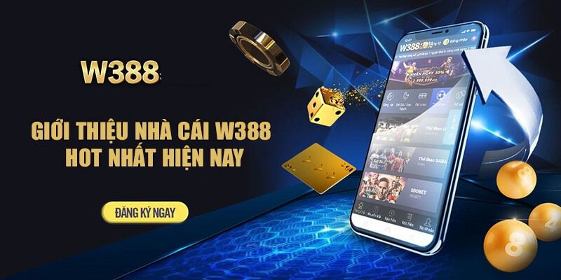 Xin giới thiệu Nohu90 Fun, một trang web đá gà trực tuyến - Nohu90
