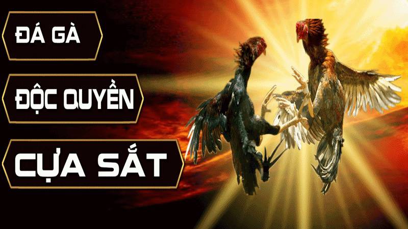 Hướng dẫn đăng ký và tạo tài khoản trên trang web game Vip88 - Vip88