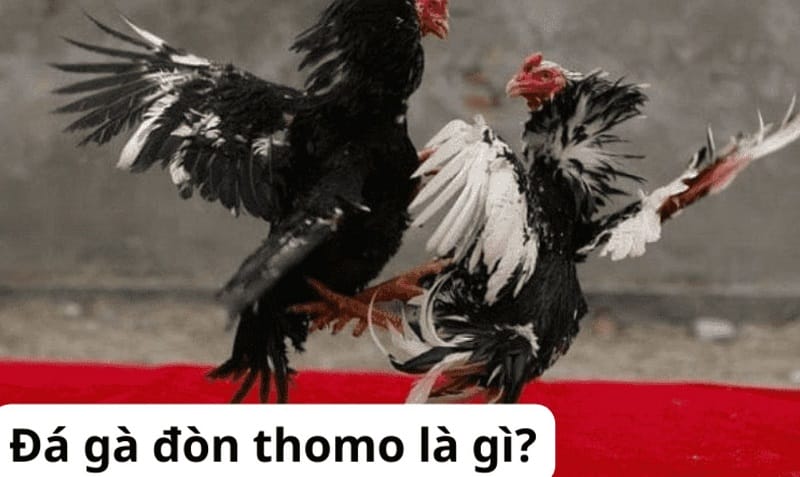 Tại sao bạn nên đầu tư vào các công ty game tầm cỡ Kuwin? - Kuwin