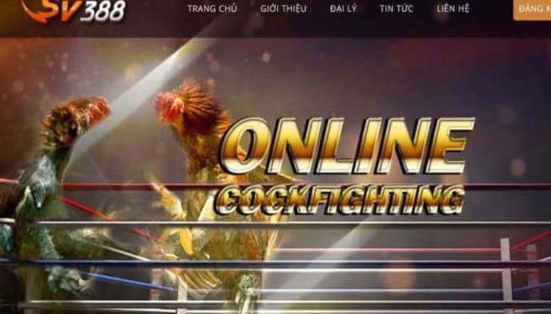 Liệu cổng game thẻ bài trực tuyến hạng Win55 đã làm rõ những tin đồn chưa? - Win55