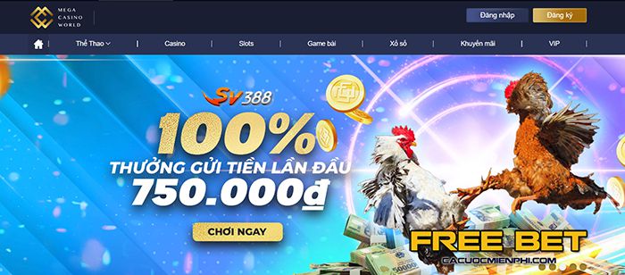 Những thương hiệu thể thao nào là đối tác của C54 Games? - C54